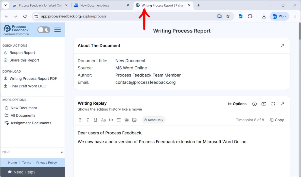 The Writing Process Report page showing the About The Document summary with MS Word Online as the source, and the Writing Replay section below it