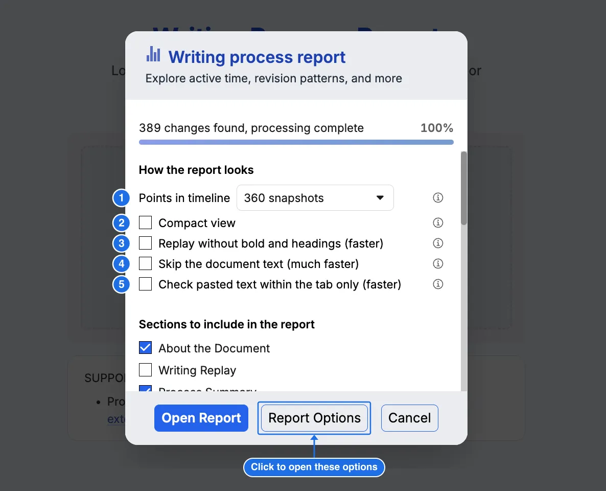 The Report Options window for a Google Docs report, with five numbered settings under "How the report looks": Points in timeline, Compact view, Replay without bold and headings, Skip the document text, and Check pasted text within the tab only. An arrow points to the Report Options button at the bottom, labeled "Click to open these options"