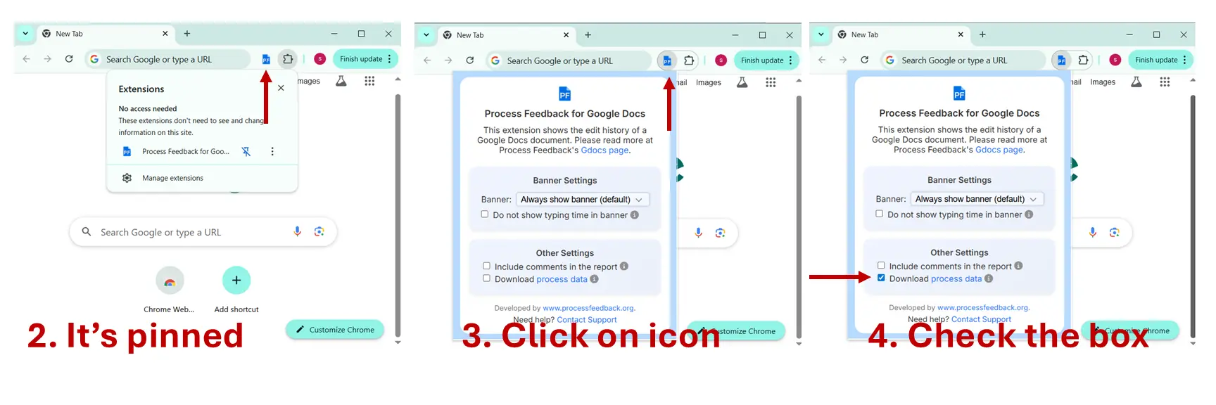 Screenshot of the Google Docs extension panel showing the Download Process Data option